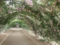 20130601213442
