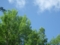 20150520180022