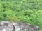 20150802175119