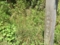 20150802175128