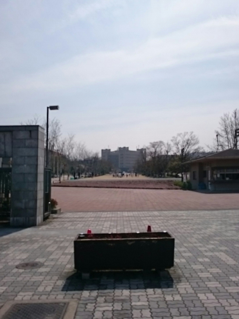 f:id:walk_to_work:20180329232739j:plain f:id:walk_to_work:20180329232739j:plain