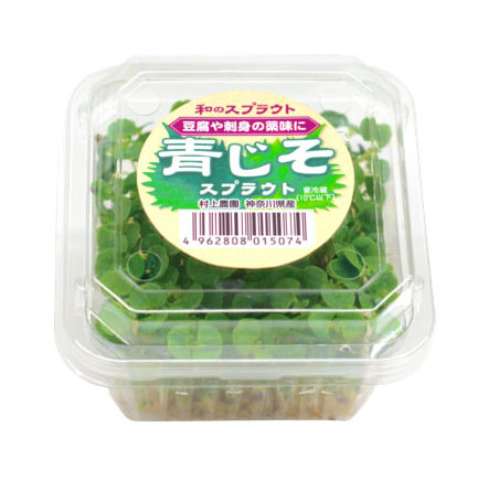 f:id:walkingbear:20191008064625j:plain f:id:walkingbear:20191008064625j:plain