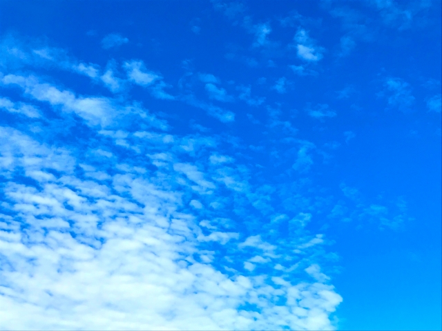 f:id:walkingbear:20191010075457j:plain