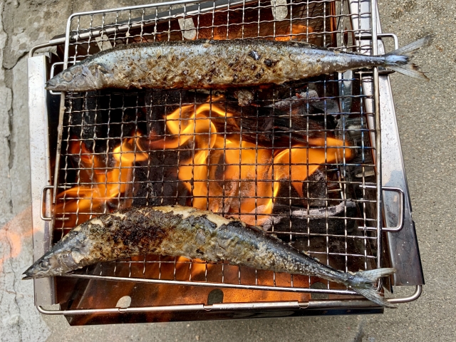 f:id:walkingbear:20191011072341j:plain