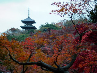 f:id:walter:20071208162259j:image