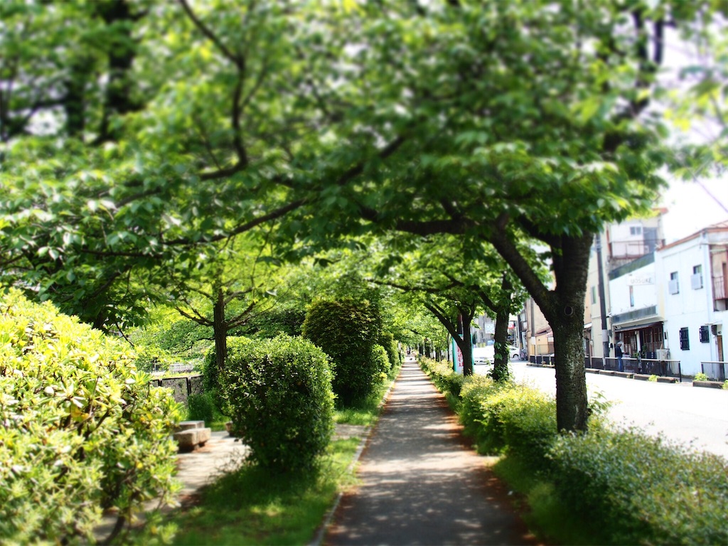 f:id:waltham70:20160609223430j:plain f:id:waltham70:20160609223430j:plain