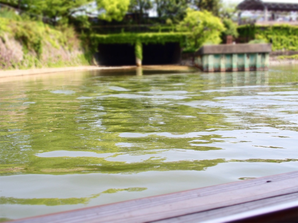 f:id:waltham70:20160609223533j:plain f:id:waltham70:20160609223533j:plain