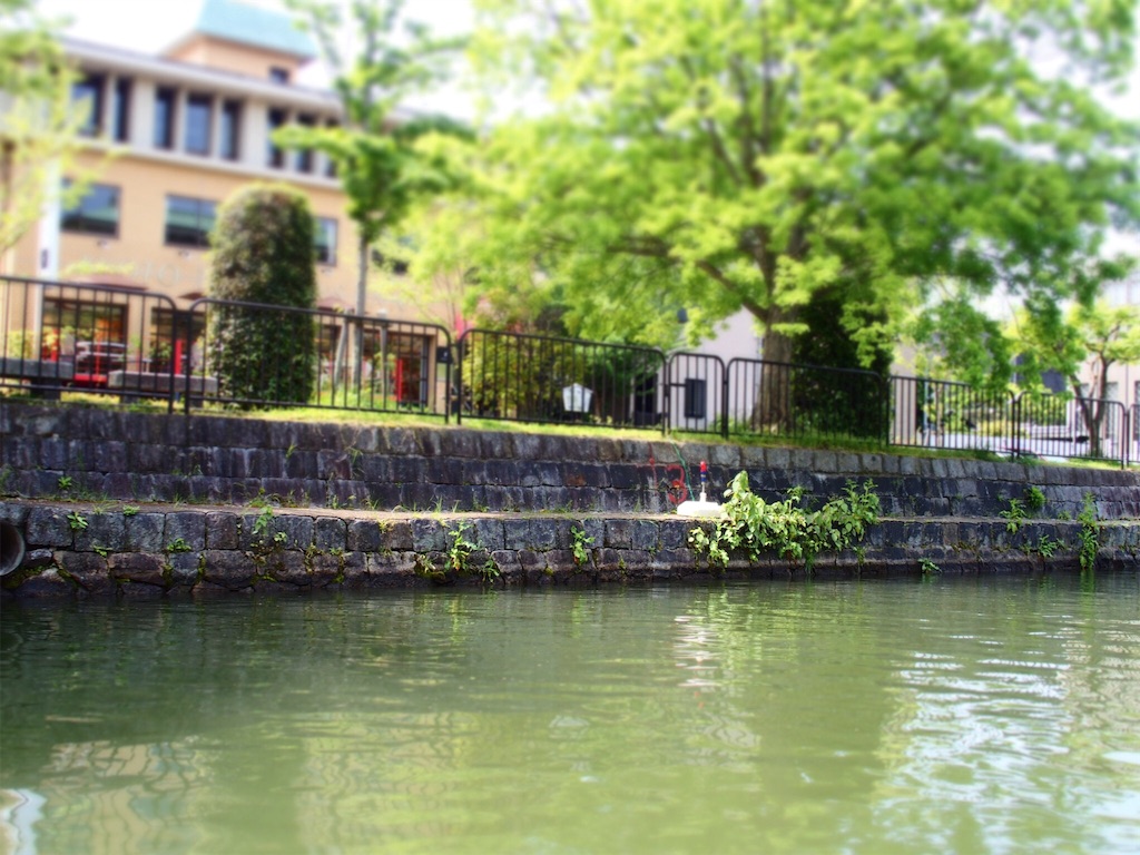 f:id:waltham70:20160609223617j:plain f:id:waltham70:20160609223617j:plain