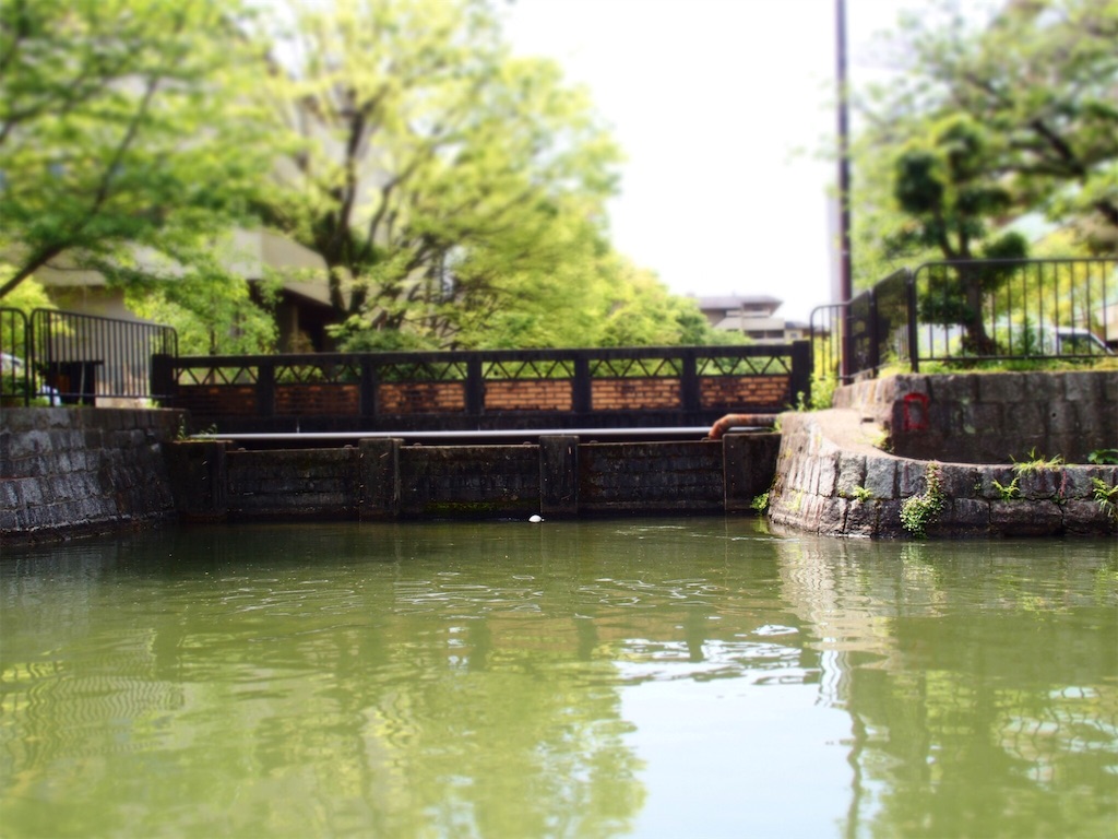 f:id:waltham70:20160609223731j:plain f:id:waltham70:20160609223731j:plain