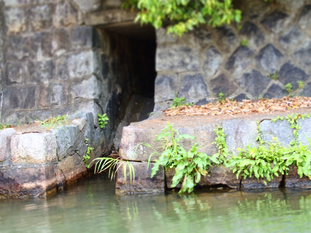 f:id:waltham70:20160609224007j:plain f:id:waltham70:20160609224007j:plain