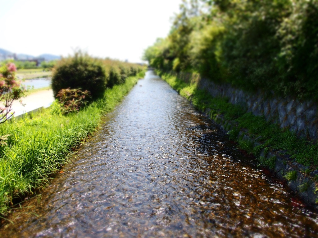 f:id:waltham70:20160609224855j:plain f:id:waltham70:20160609224855j:plain