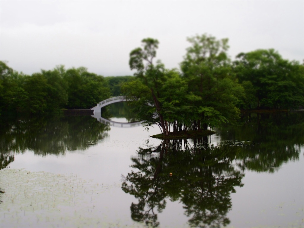 f:id:waltham70:20160624221039j:plain f:id:waltham70:20160624221039j:plain