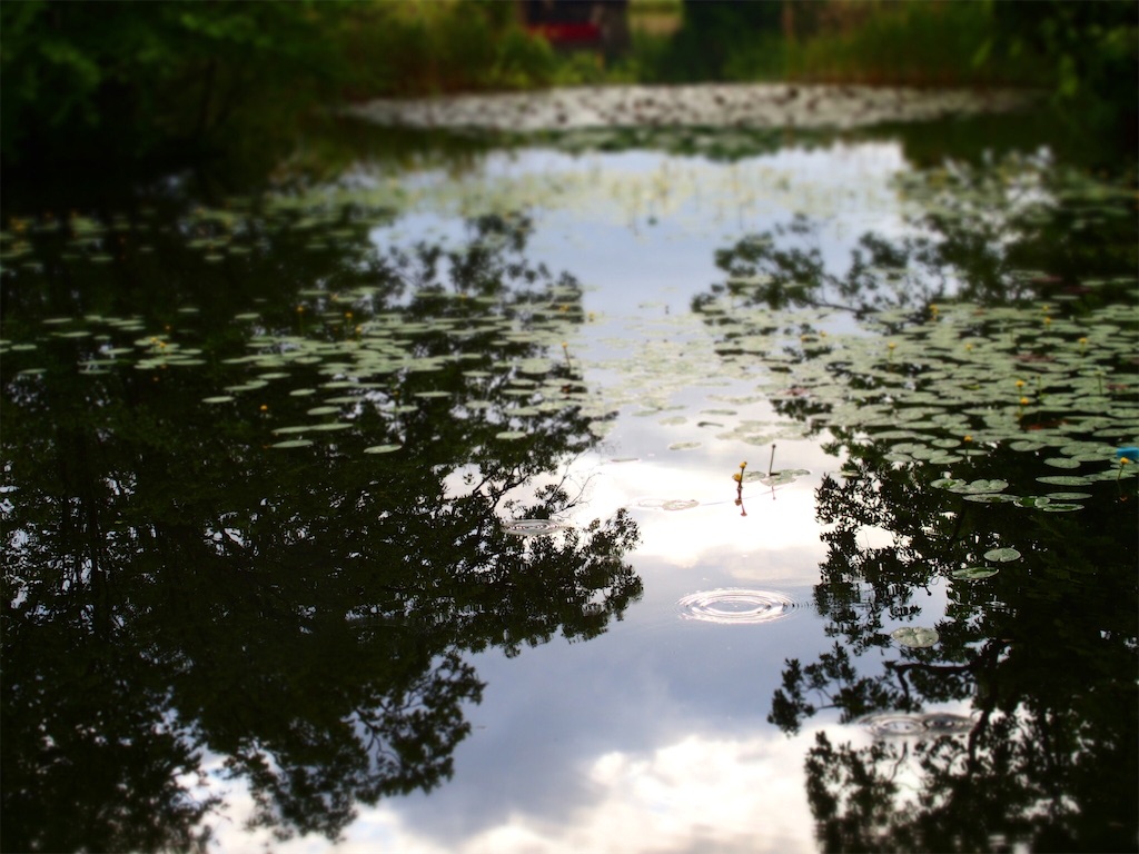 f:id:waltham70:20160624221118j:plain f:id:waltham70:20160624221118j:plain