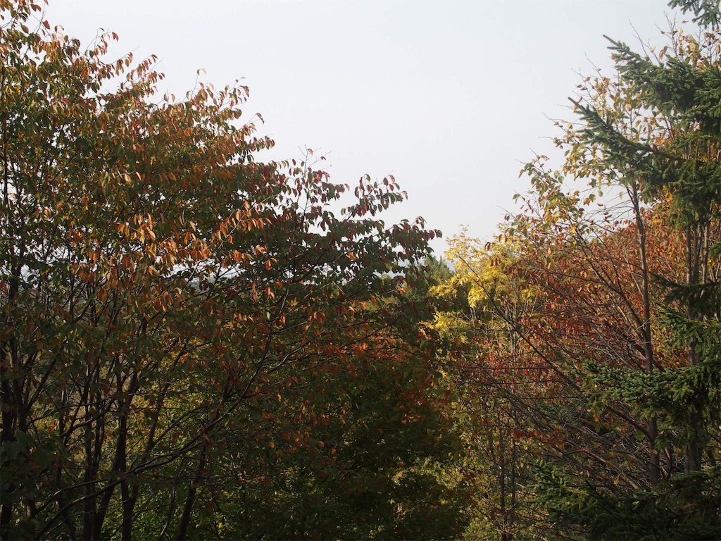 f:id:waltham70:20161007225019j:plain f:id:waltham70:20161007225019j:plain