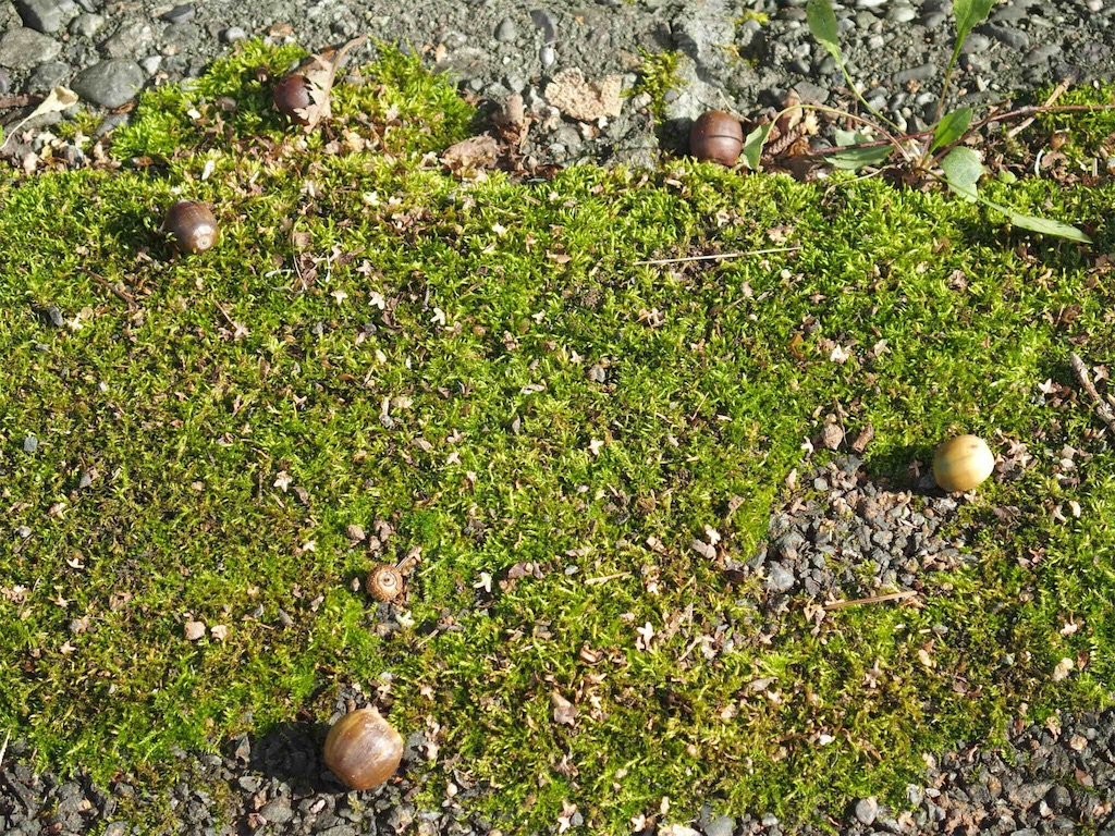 f:id:waltham70:20161007225158j:plain f:id:waltham70:20161007225158j:plain