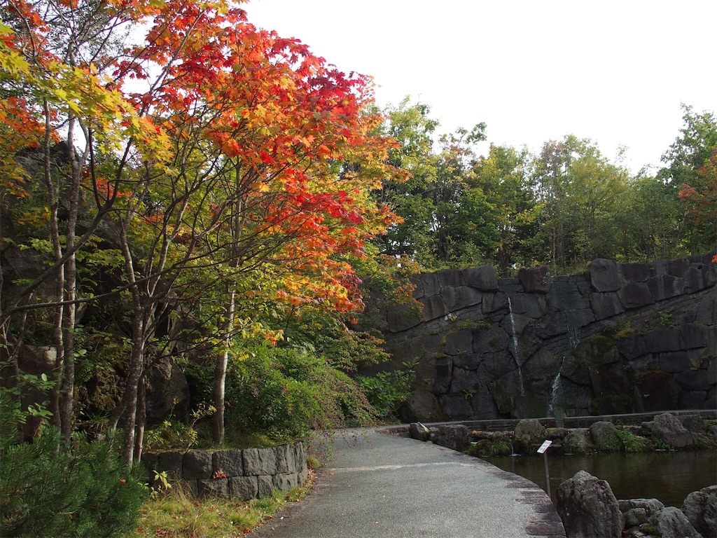 f:id:waltham70:20161007225550j:plain f:id:waltham70:20161007225550j:plain