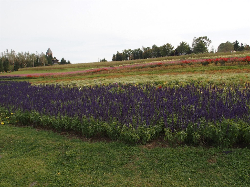 f:id:waltham70:20161007225751j:plain f:id:waltham70:20161007225751j:plain