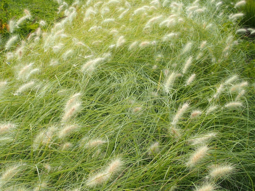 f:id:waltham70:20161007225805j:plain f:id:waltham70:20161007225805j:plain