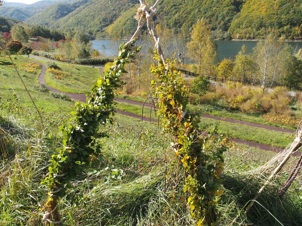 f:id:waltham70:20161016203923j:plain