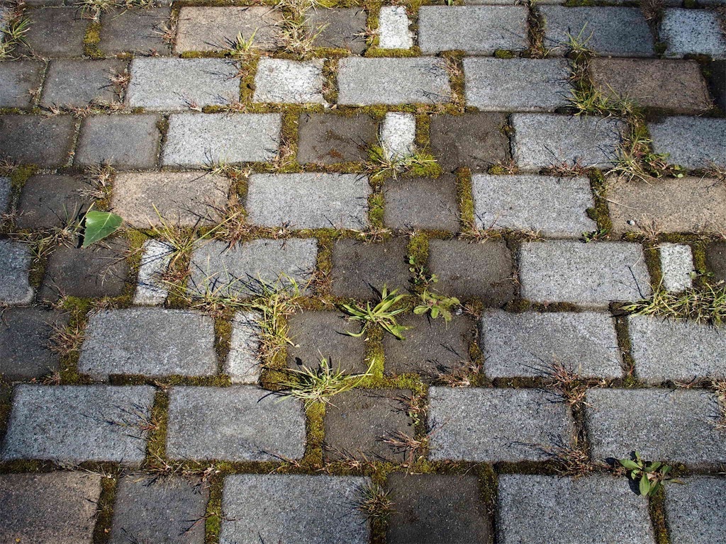 f:id:waltham70:20161016203954j:plain