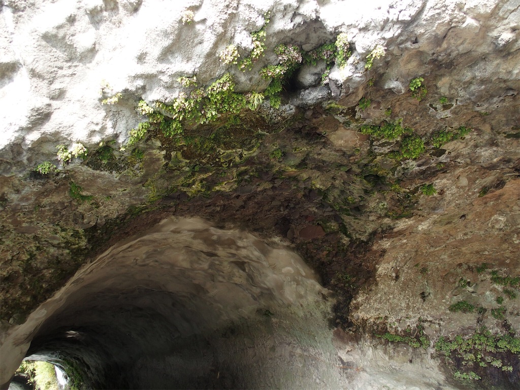 f:id:waltham70:20161227213423j:plain f:id:waltham70:20161227213423j:plain