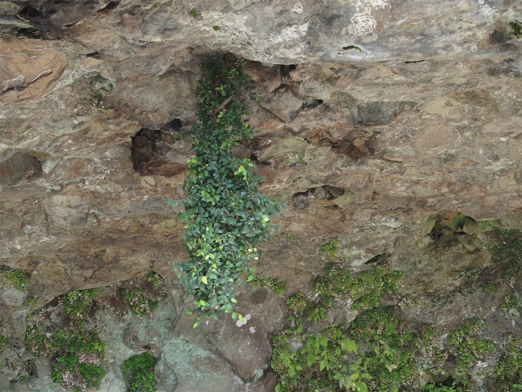 f:id:waltham70:20161227213427j:plain f:id:waltham70:20161227213427j:plain