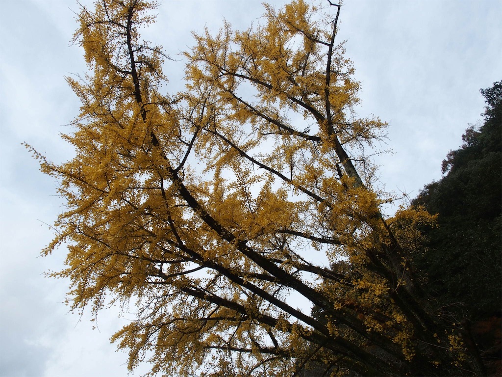 f:id:waltham70:20161227213511j:plain f:id:waltham70:20161227213511j:plain