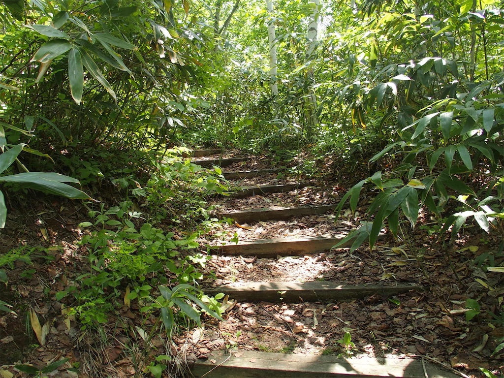 f:id:waltham70:20170620215430j:plain f:id:waltham70:20170620215430j:plain