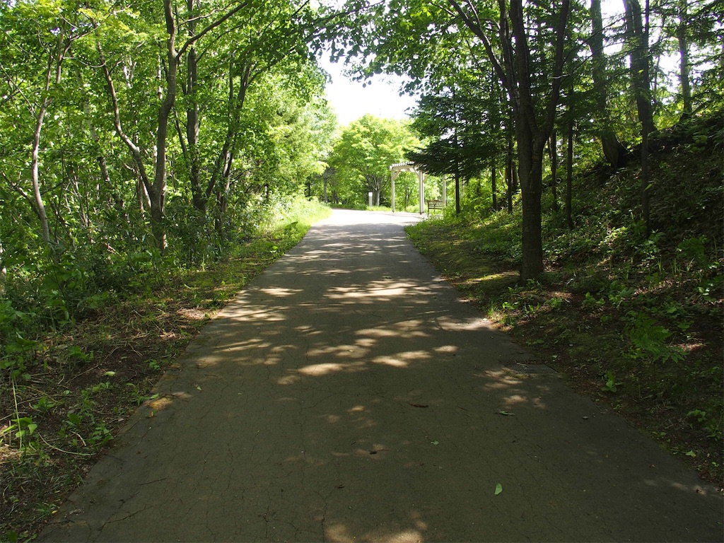 f:id:waltham70:20170620215439j:plain f:id:waltham70:20170620215439j:plain