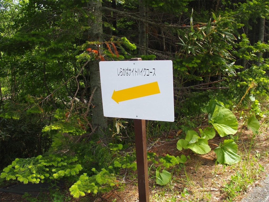 f:id:waltham70:20170620215501j:plain f:id:waltham70:20170620215501j:plain