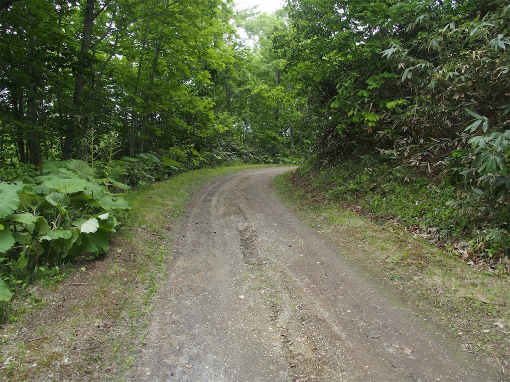 f:id:waltham70:20170620215547j:plain f:id:waltham70:20170620215547j:plain