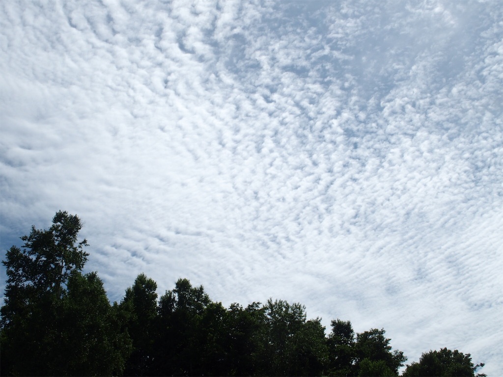 f:id:waltham70:20170722222744j:plain f:id:waltham70:20170722222744j:plain