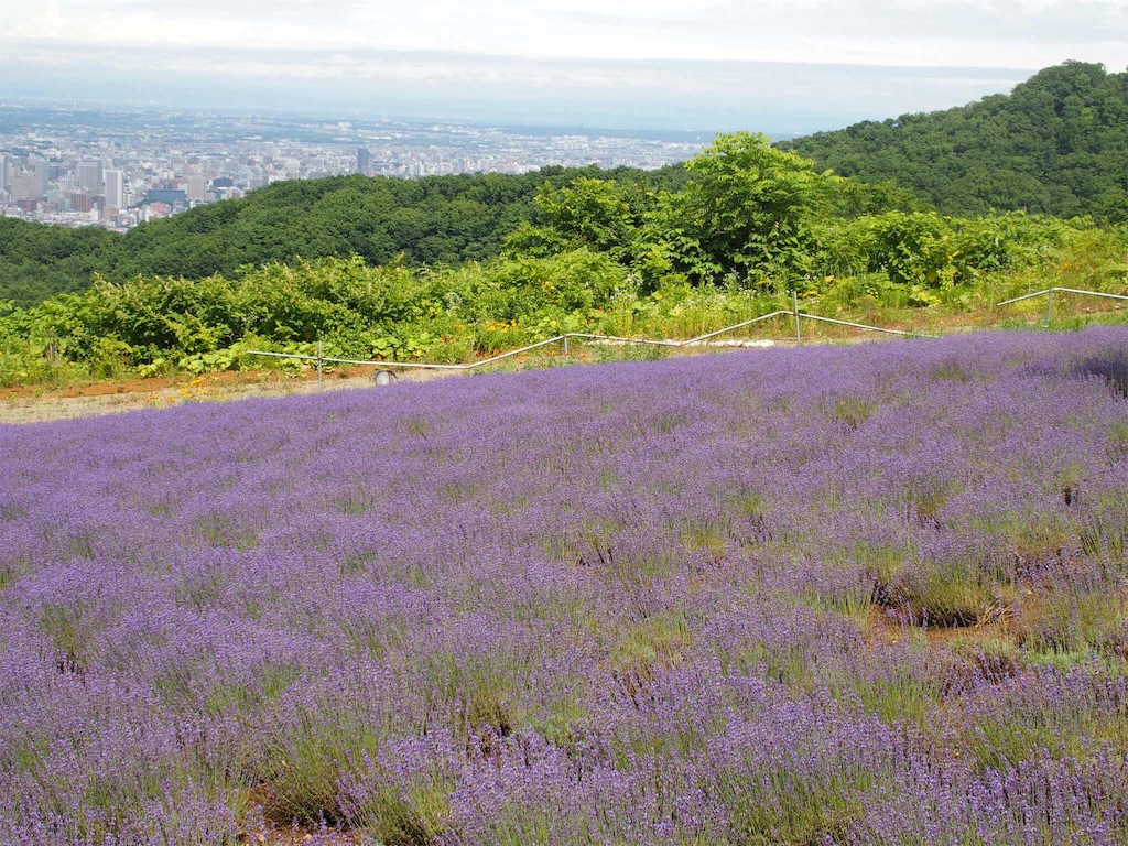 f:id:waltham70:20170722223216j:plain f:id:waltham70:20170722223216j:plain