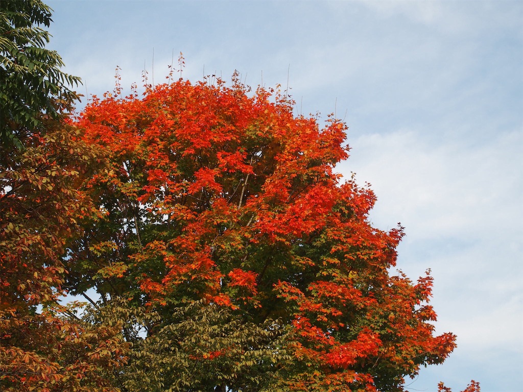 f:id:waltham70:20171016212048j:plain f:id:waltham70:20171016212048j:plain