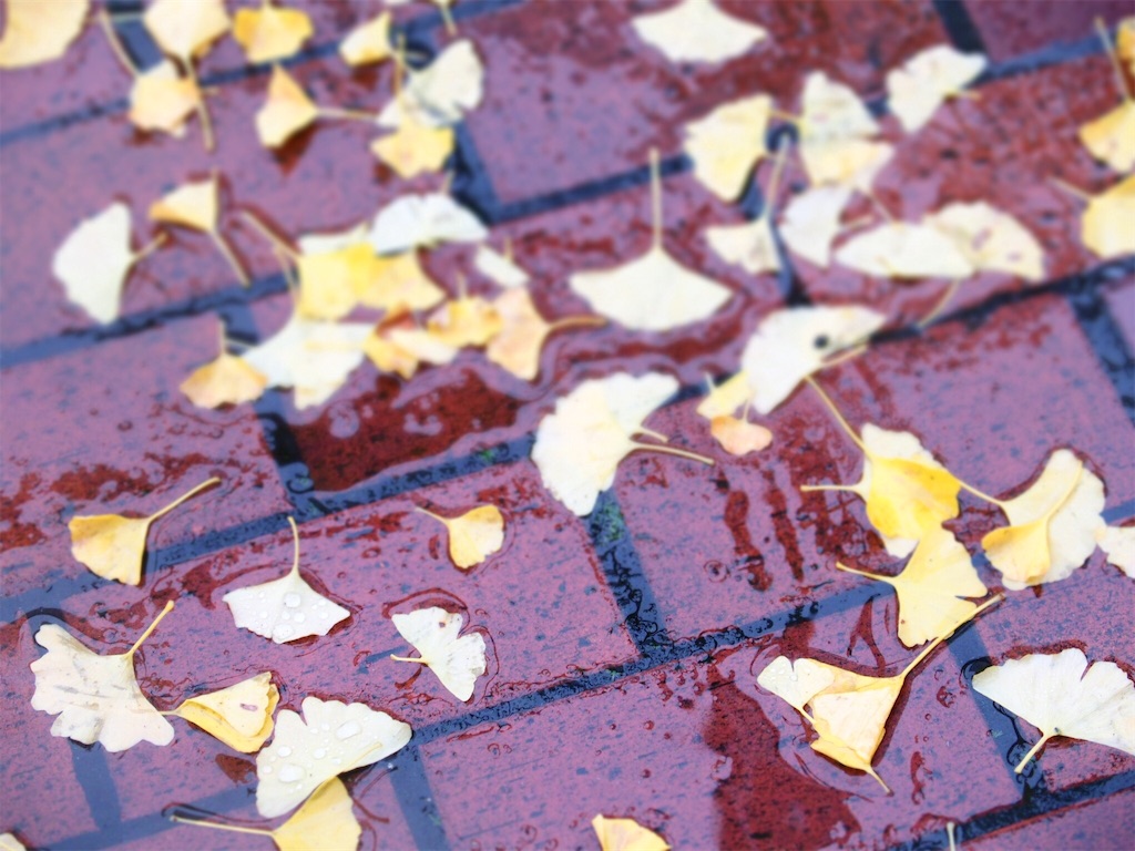 f:id:waltham70:20171023231918j:plain f:id:waltham70:20171023231918j:plain