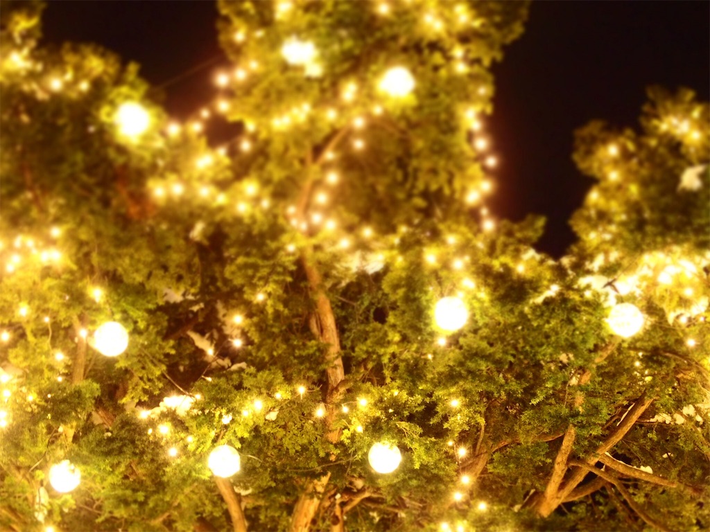 f:id:waltham70:20171127233358j:plain f:id:waltham70:20171127233358j:plain