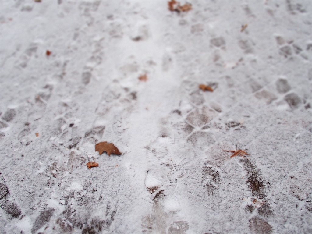 f:id:waltham70:20171202232403j:plain f:id:waltham70:20171202232403j:plain