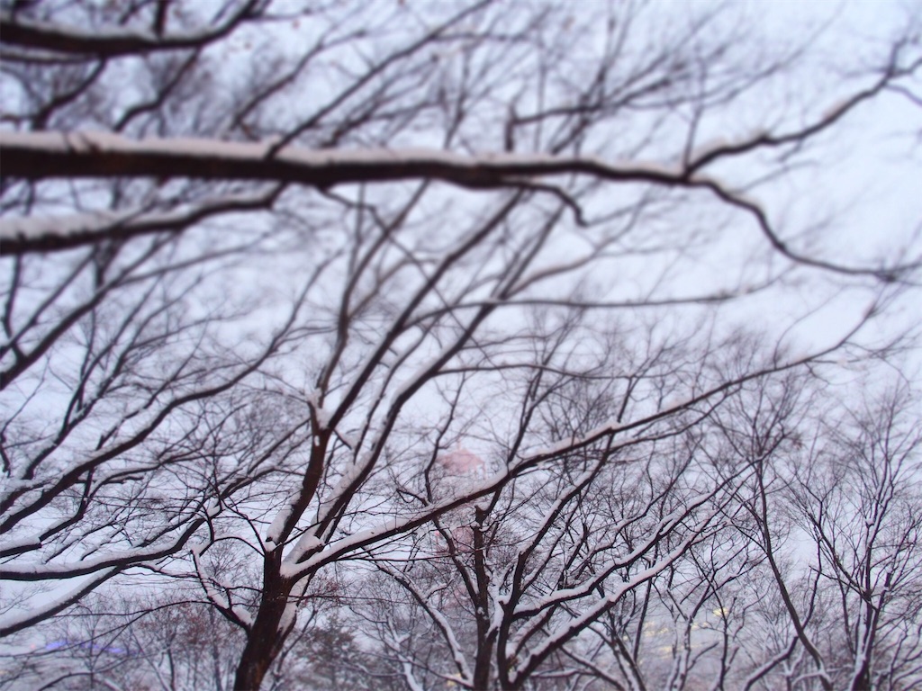 f:id:waltham70:20171205220834j:plain f:id:waltham70:20171205220834j:plain