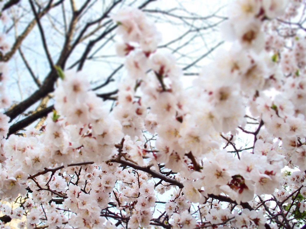 f:id:waltham70:20180501232633j:plain