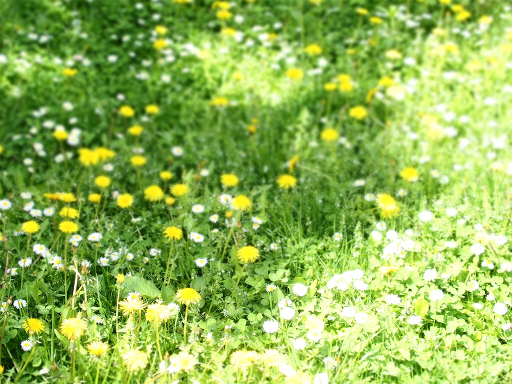 f:id:waltham70:20180527000907j:plain f:id:waltham70:20180527000907j:plain