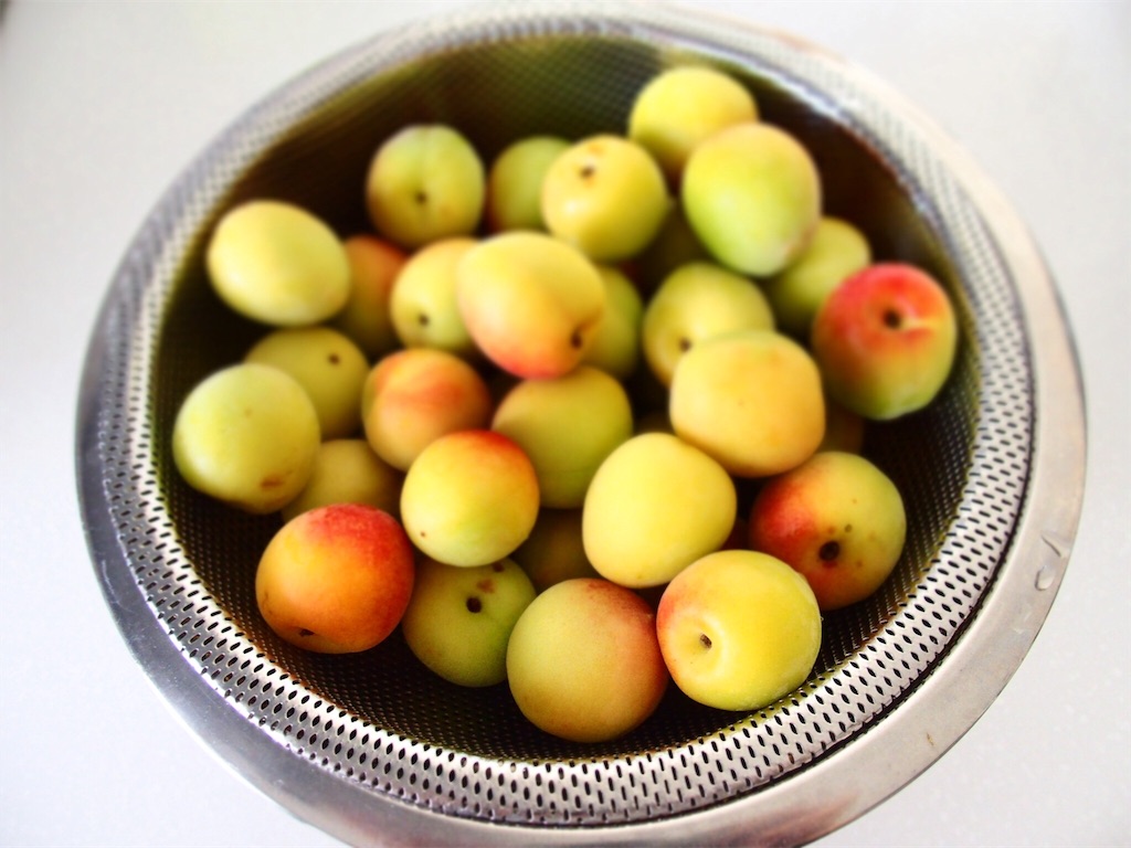 f:id:waltham70:20180611214539j:plain f:id:waltham70:20180611214539j:plain