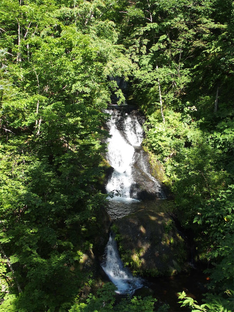 f:id:waltham70:20180801110851j:plain f:id:waltham70:20180801110851j:plain