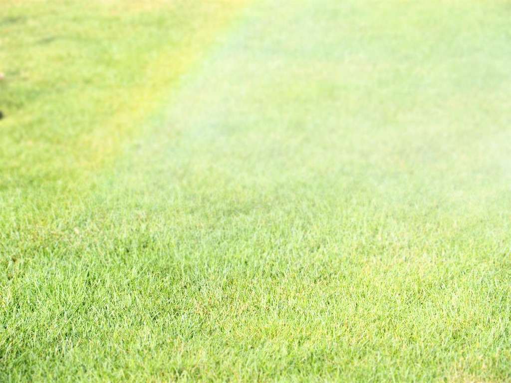 f:id:waltham70:20180804235107j:plain f:id:waltham70:20180804235107j:plain