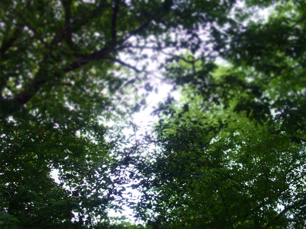 f:id:waltham70:20180828001811j:plain f:id:waltham70:20180828001811j:plain