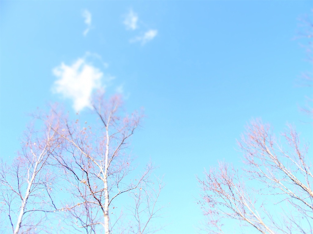 f:id:waltham70:20181111180348j:plain f:id:waltham70:20181111180348j:plain