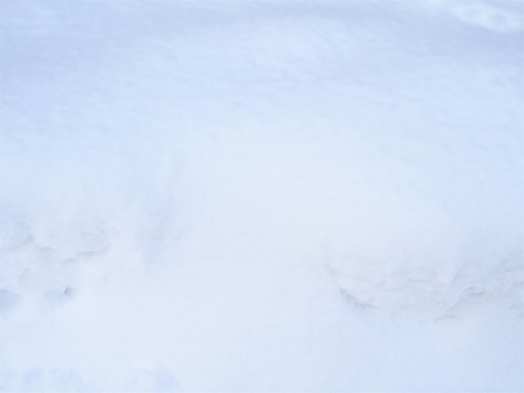 f:id:waltham70:20190107210328j:plain f:id:waltham70:20190107210328j:plain