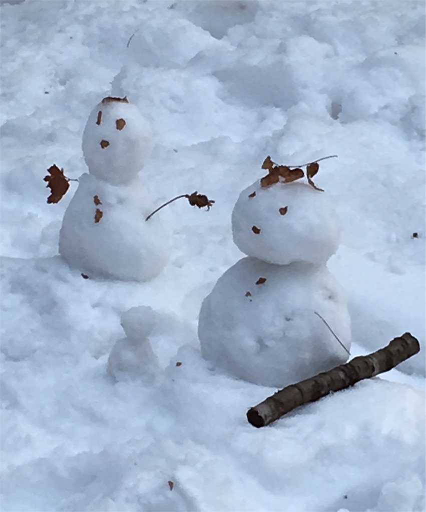 f:id:waltham70:20190321151631j:plain f:id:waltham70:20190321151631j:plain