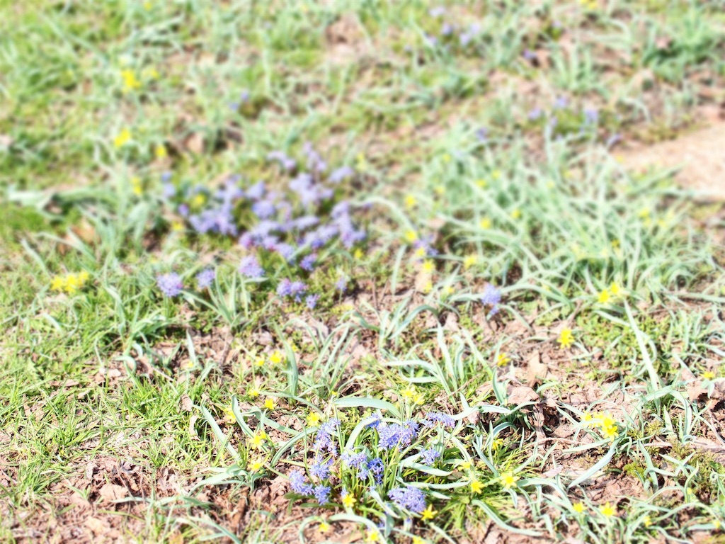 f:id:waltham70:20190415172905j:plain f:id:waltham70:20190415172905j:plain