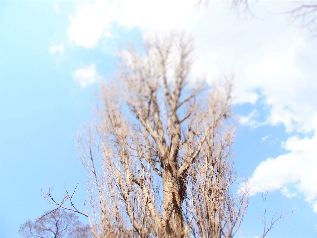 f:id:waltham70:20190415172928j:plain f:id:waltham70:20190415172928j:plain