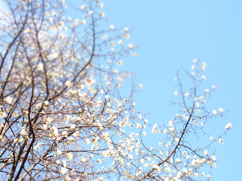 f:id:waltham70:20190421174154j:plain f:id:waltham70:20190421174154j:plain